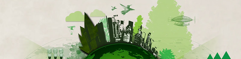 Green World Infographic Detail